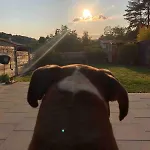 Maison De Village Toute Equipee *