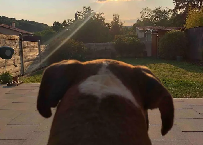 Maison De Village Toute Equipee *